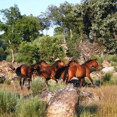 Tatil Evi Assento Geres - Grand Eco-retreat - Jacuzzi Views