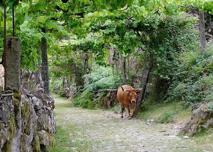 Дом отдыха Assento Geres - Grand Eco-retreat - Jacuzzi Views *